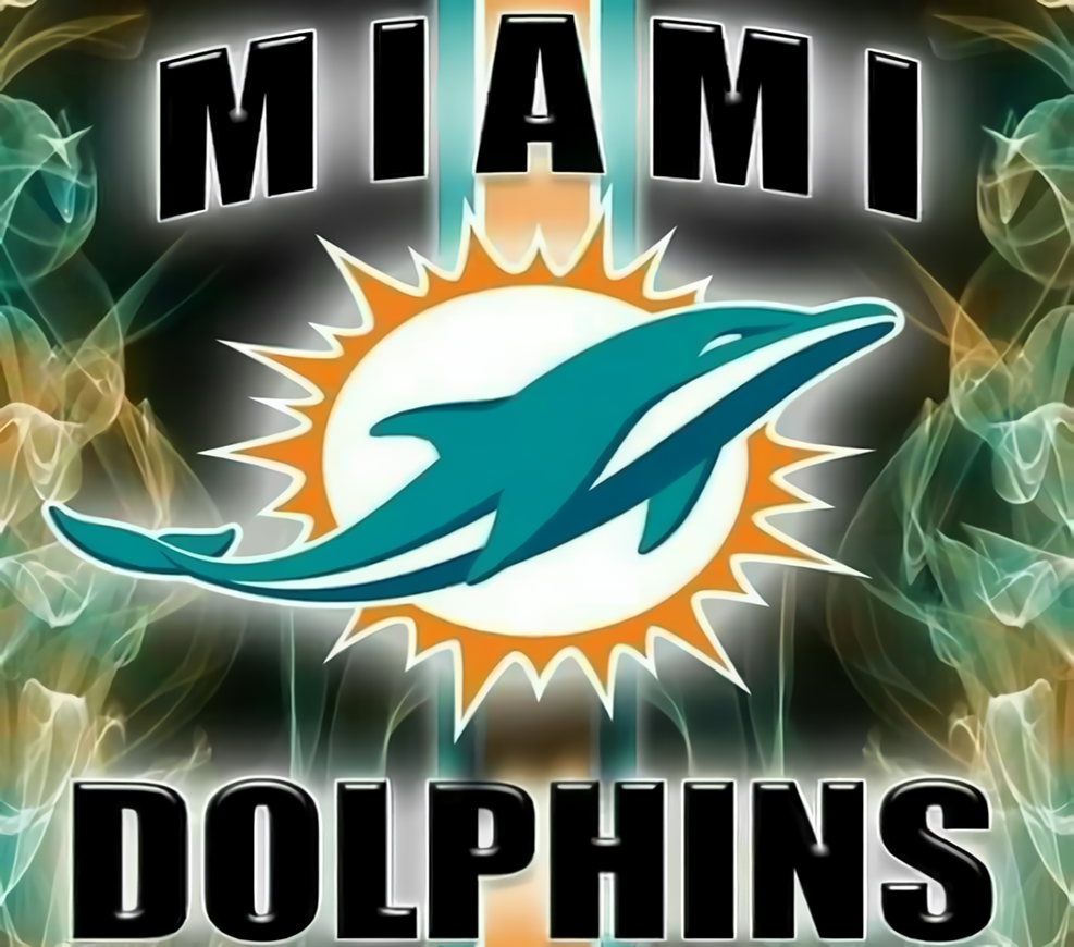 Miami Dolphins Graphic T-Shirt artwork