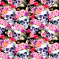 270 skull with Tumbler