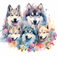 440 Huskies in Bloom: A Watercolor Harmony with Tumbler