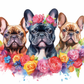 441 The French Bulldog Trio with Tumbler