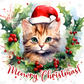709  A Cat's Christmas Wreath with Tumbler