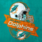 867 Miami Dolphins with Tumbler