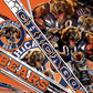 869 Chicago Bears with Tumbler