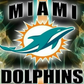 899 Miami Dolphins with Tumbler