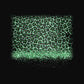 TS0133 PATTERN_IMAGE design-only artwork