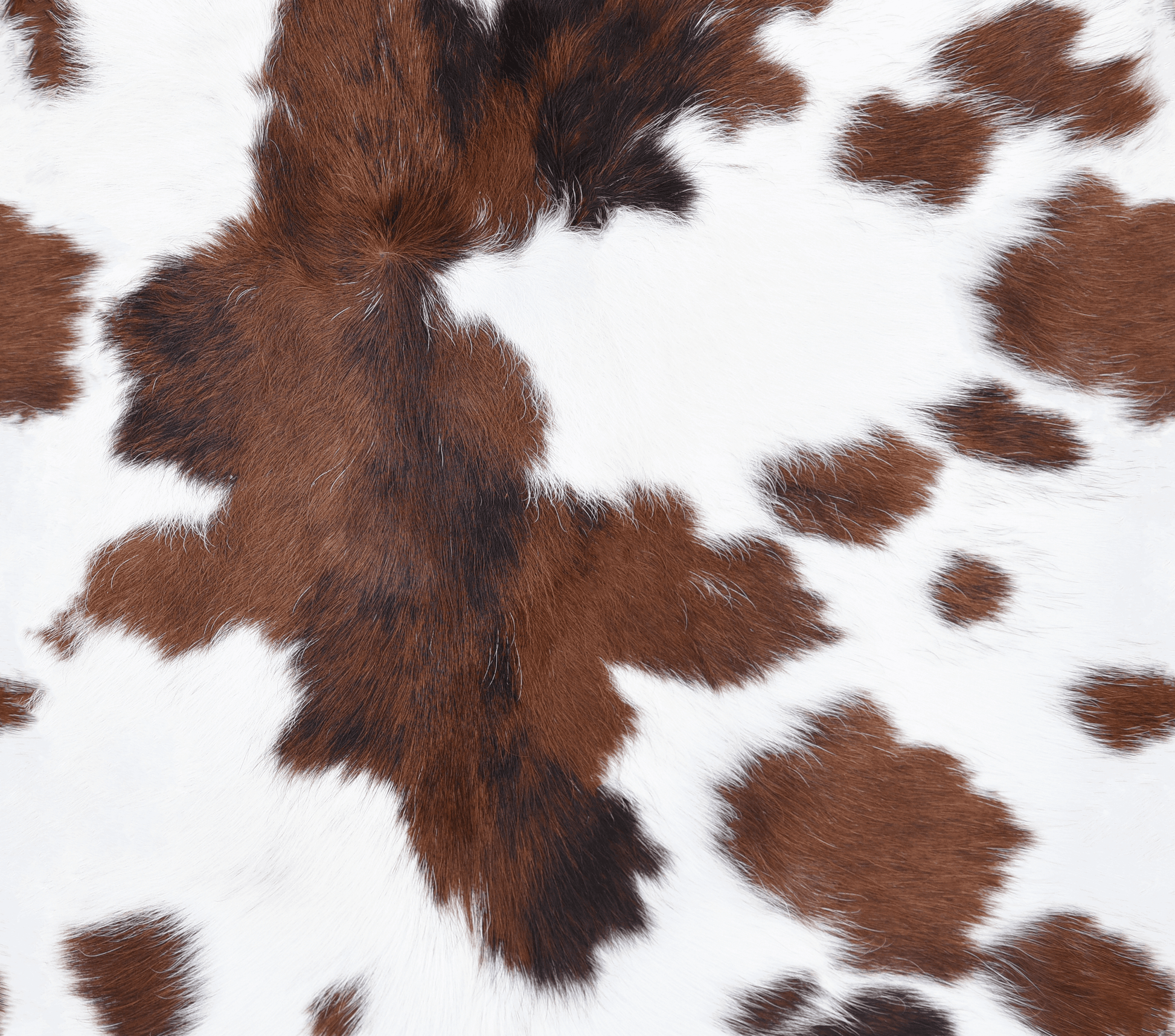 Fur Pattern Graphic T-Shirt artwork
