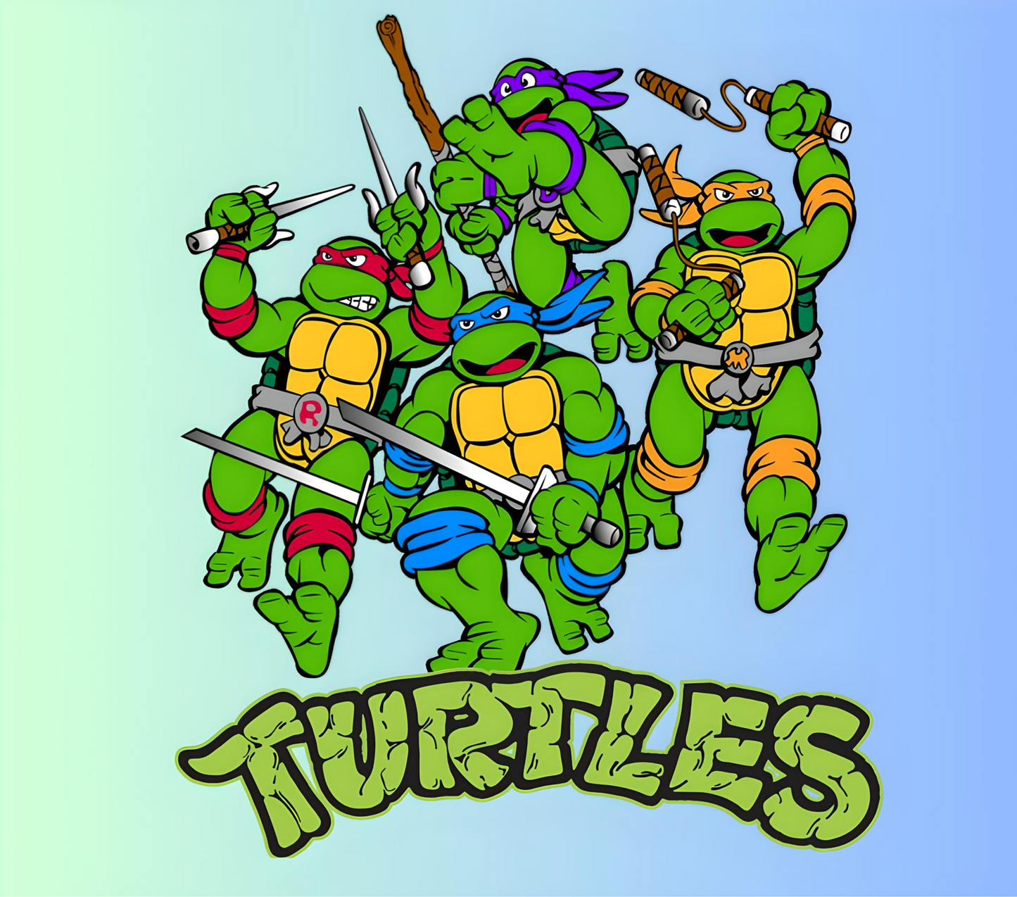 Ninja Turtles Graphic T-Shirt artwork