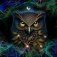 143 OWL with Tumbler