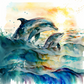 157 Dolphin with Tumbler