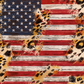 159 US Flag with Tumbler