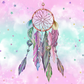 174 Dreamcatcher with Tumbler